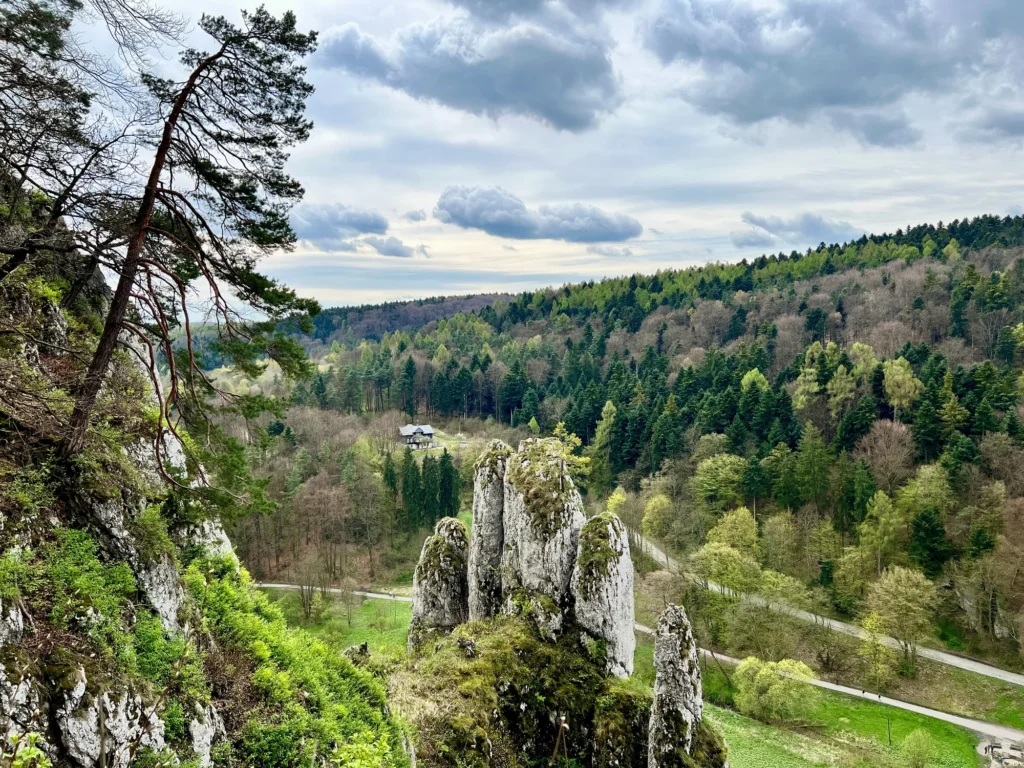 Z Apartamentów Radzikowskiego w tereny zielone: Ojcowski Park Narodowy